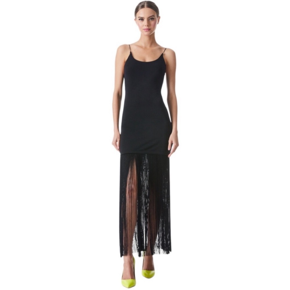 Alice + Olivia Steph Fringe Dress